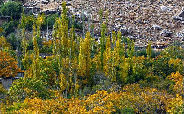 روستای منشاد,روستاهای یزد,روستاهای گردشگری ایران,روستاگردی,تور روستا,شیدرخ تراول,جاذبه های یزد,دیدنی های یزد,تور ارزان یزد,تور یزد شیدرخروس