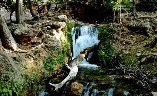 خوزستان,تور خوزستان,دیدنی های خوزستان,جاذبه های خوزستان,شیدرخ تراولخوزستان,تور خوزستان,دیدنی های خوزستان,جاذبه های خوزستان,شیدرخ تراول