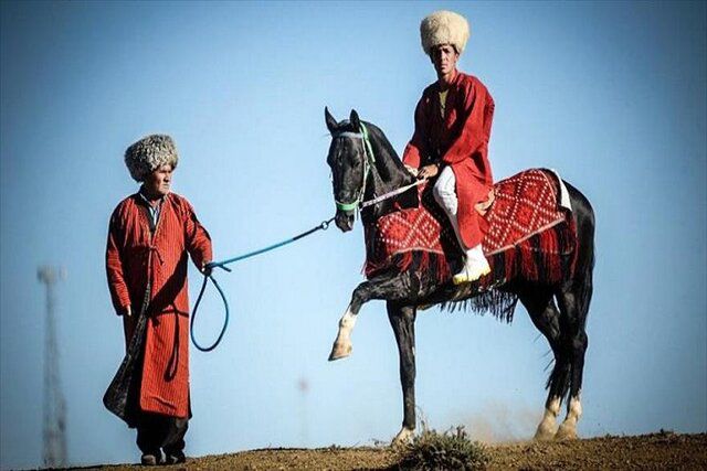 جاذبه های فرهنگی استان گلستان,اسب ترکمن,ترکمن صحرا,استان گلستانجاذبه های فرهنگی استان گلستان,اسب ترکمن,ترکمن صحرا,استان گلستان