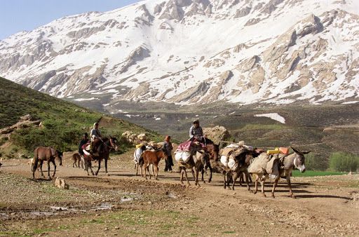 تور کوچ عشایر,تور کوچ عشایر با شیدرخ تراول,کوچ,تور عشایرگردی,تور عشایر,تور عشایر قشقایی,تور عشایر بختیاری,j,v uahdv