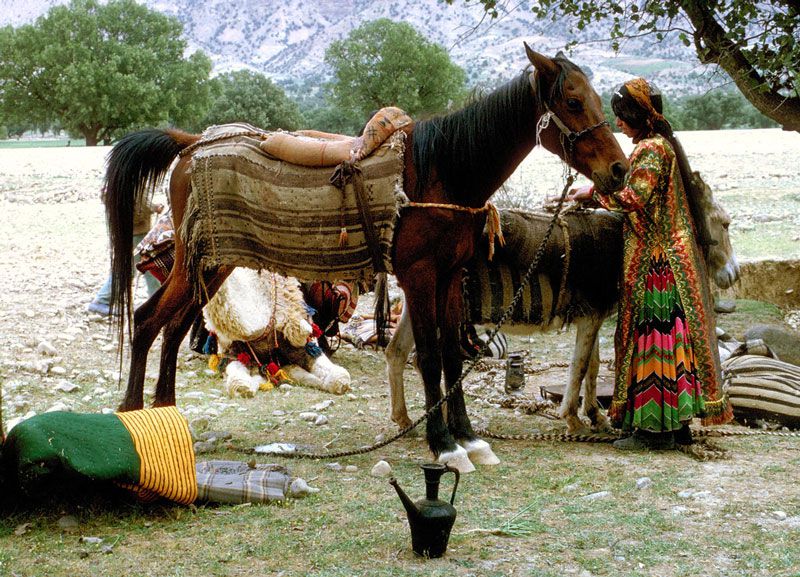 تور عشایر قشقایی شیدرخ  تراول,عشایرگردی,لباس قشقایی,تور شیراز,تور عشایرگردی,اداب رسوم عشایر  قشقایی